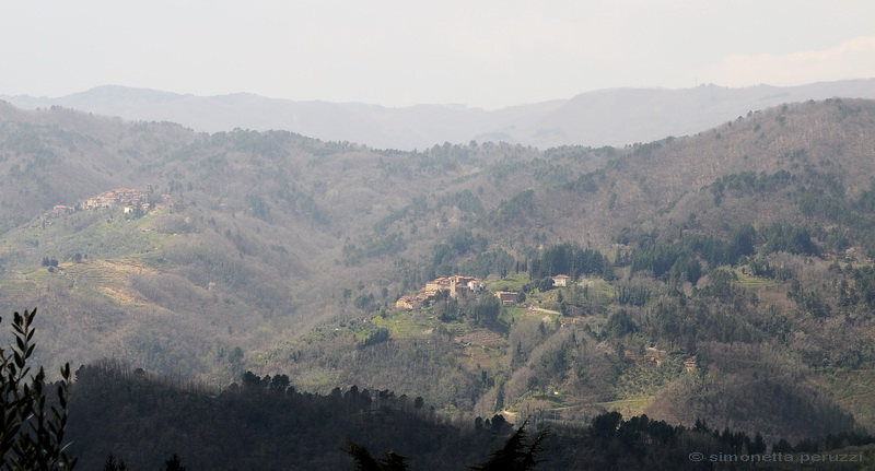 Svizzera pesciatina